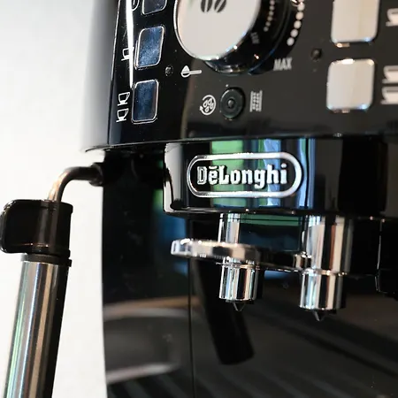 Schwarzwald Penthus 아파트 카펠로덱