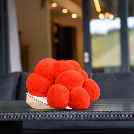 Schwarzwald Penthus 아파트 *