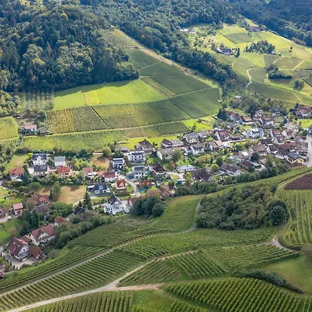 Schwarzwald Penthus 아파트 *