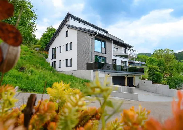 Apartamento Schwarzwald Penthus Kappelrodeck
