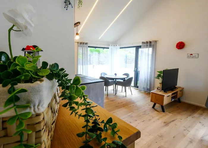 Schwarzwald Penthus Apartamento Kappelrodeck