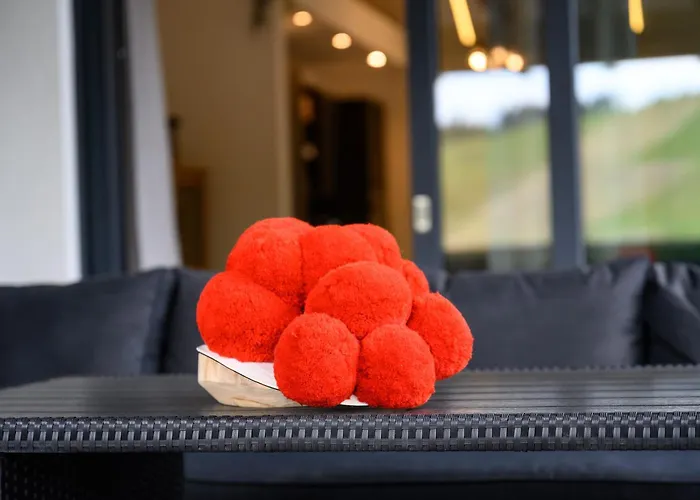 Schwarzwald Penthus Apartamento *